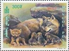 Wolf (Canis lupus)