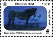 Przewalski’s Horse (Equus przewalskii)