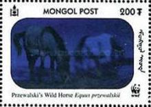 Przewalski’s Horse (Equus przewalskii)
