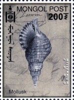 Mollusk