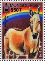 Horse (Equus hemionus)