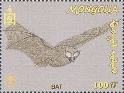 Bat