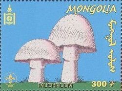 Mushrooms