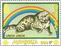 Snow Leopard (Panthera uncia)