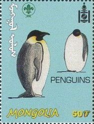 Penguin (Aptenodytes sp.)