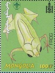 Frog
