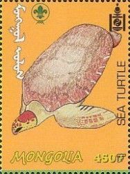 Sea Turtle