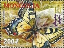 Swallowtail (Papilio machaon)
