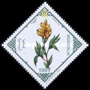 Thermopsis