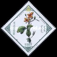 Chelidonium
