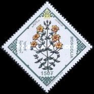 Hypencum
