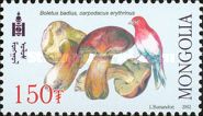 Common Rosefinch (Carpodacus erythrinus), Bay Bolete (Boletu