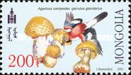 Eurasian Jay (Garrulus glandarius), Field Mushroom (Agaricus