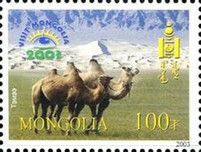 Bactrian Camel (Camelus bactrianus)