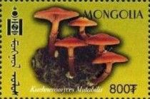 Kuehneromyces, mutabilis