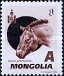 Przewalski’s Horse (Equus przewalskii)