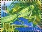 Praying Mantis (Mantis religiosa)