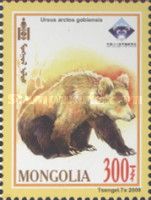 Ursus arctos gobiensis