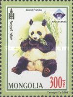 Ailuropoda melanoleuca
