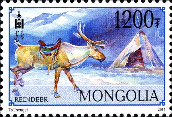 Reindeer (Rangifer tarandus)
