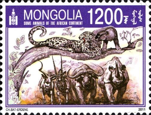 African Fauna