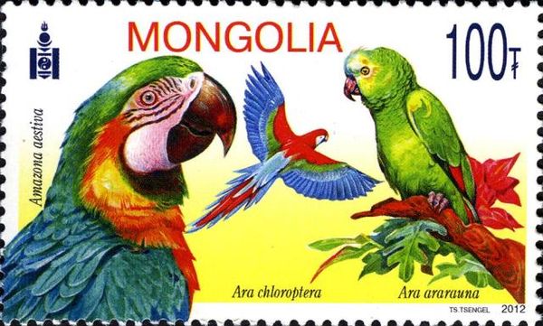 Blue-fronted Amazon (Amazona aestiva), Red-and-green Macaw (