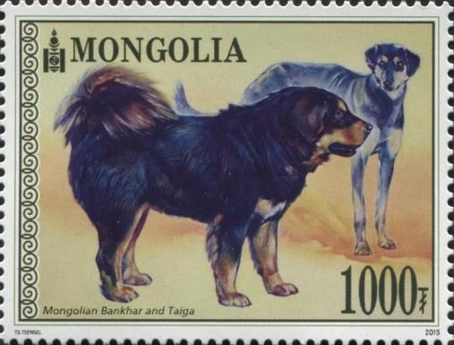 Mongolian Bankhar, Taiga Dog (Canis lupus familiaris)