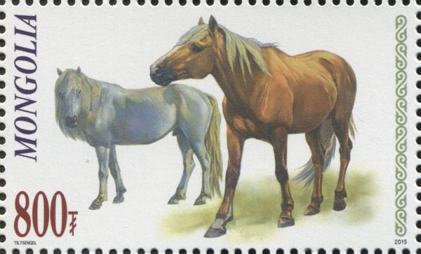 Horse