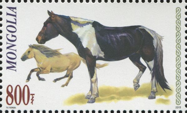 Horse