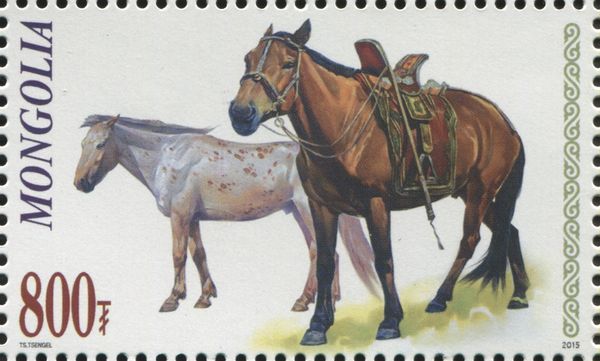 Horse