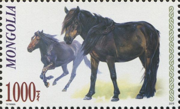 Horse