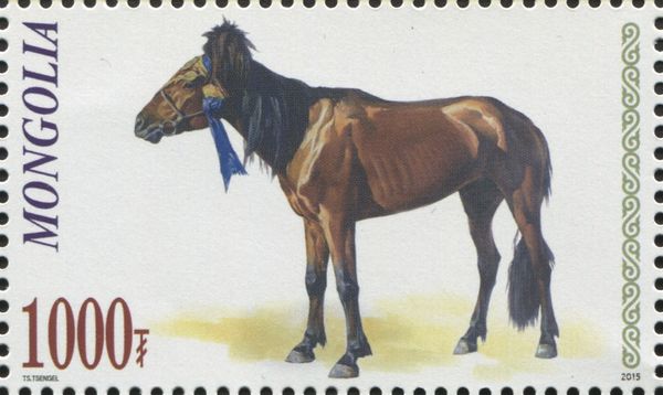 Horse