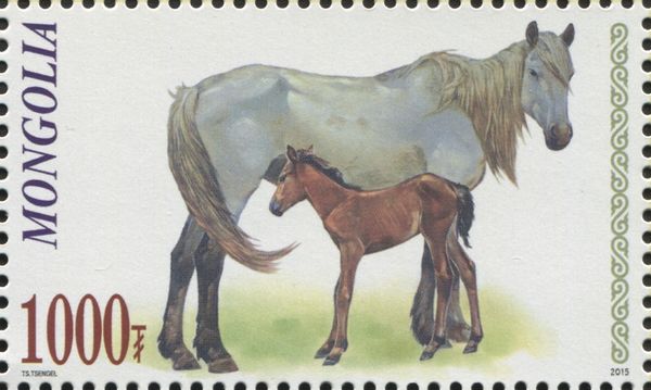 Horse