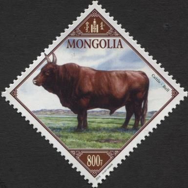 Bull