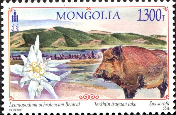 Terkhiin Tsagaan Lake (Arkhangai province)