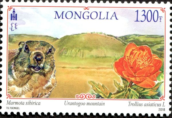 Urantogoo Mountain (Bulgan province)