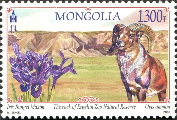 Rock of Ergeliin Zoo Natural Reserve (Dornogobi province)