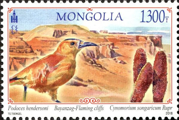 Bayanzag-Flaming Cliffs (Omnigobi province)