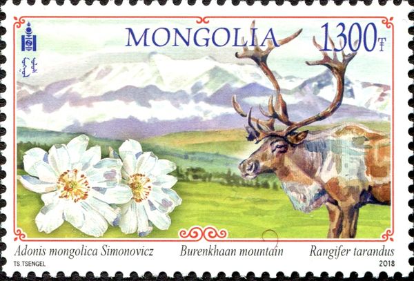 Burenkhaan Mountain (Khovsgol province)