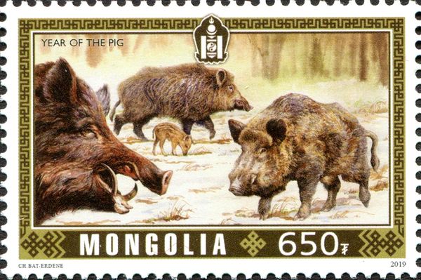 Year of the Pig 2019