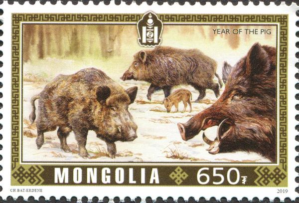 Year of the Pig 2019