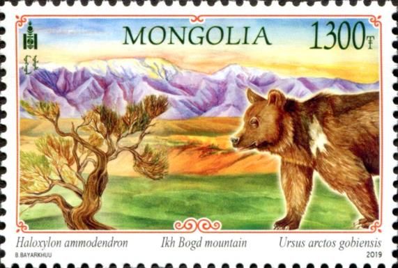 Gobi Bear (Ursus arctos gobiensis) and Mount Ikh Bogd