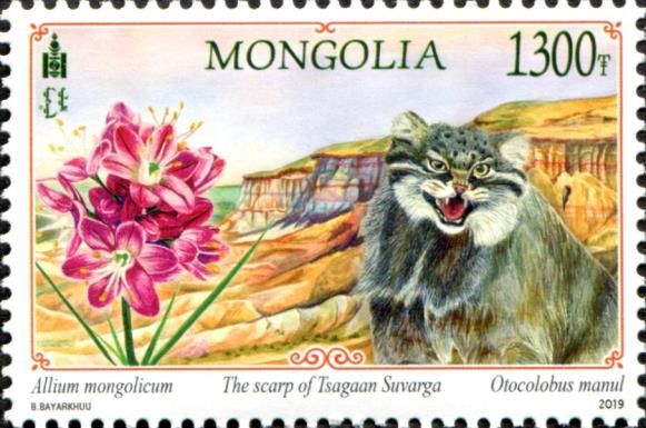 Pallas's Cat (Otocolobus manul) and Tsagaan Suvarga Scarp