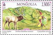 Landscapes of Mongolia