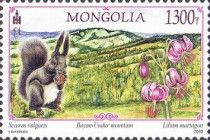 Landscapes of Mongolia
