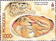 Dinosaurs Fossils Found in Mongolia