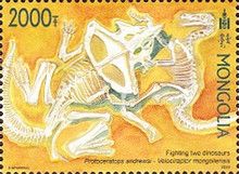 Dinosaurs Fossils Found in Mongolia