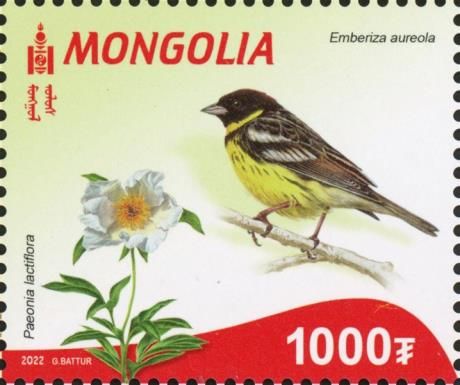 Flora and Fauna of the Red Book of Mongolia