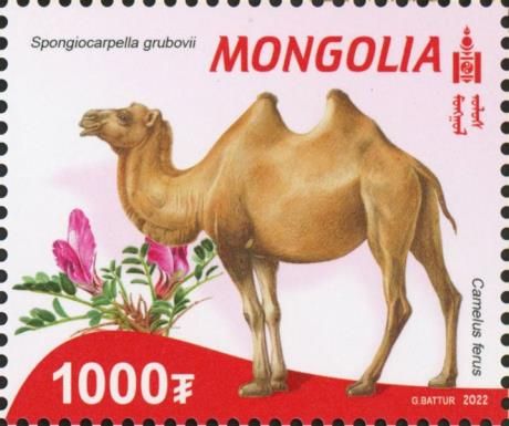 Flora and Fauna of the Red Book of Mongolia