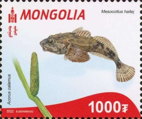 Flora and Fauna of the Red Book of Mongolia
